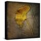 Gingko-John W Golden-Stretched Canvas