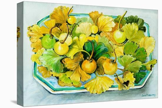 Ginkgo,Fruit and Leaves, 2010-Joan Thewsey-Premier Image Canvas