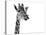 Giraffe Expressionism-SD Smart-Premier Image Canvas