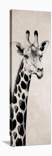Giraffe I-Vivien Rhyan-Stretched Canvas