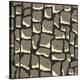 Giraffe Skin-Susan Clickner-Stretched Canvas