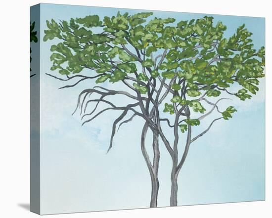 Giraffe Tree-Gaetan Caron-Stretched Canvas