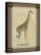 Giraffe with Border II-null-Stretched Canvas