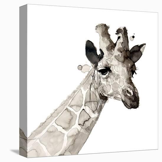 Giraffe-Philippe Debongnie-Stretched Canvas