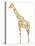 Giraffe-Louise Tate-Premier Image Canvas