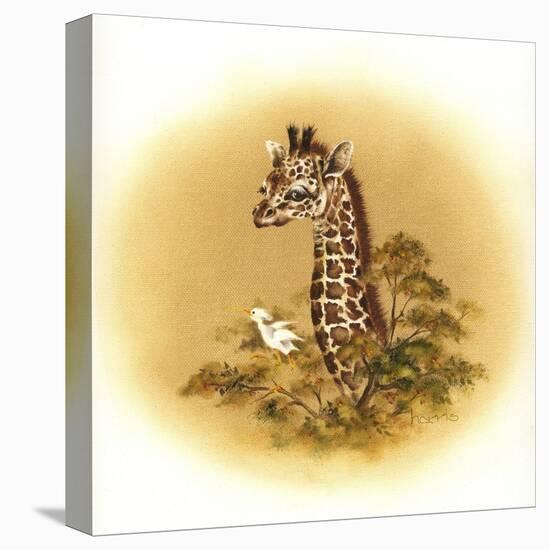 Giraffe-Peggy Harris-Premier Image Canvas