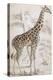 Giraffes in North Africa-null-Premier Image Canvas