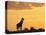 Giraffes, Silhouetted at Sunset, Etosha National Park, Namibia, Africa-Ann & Steve Toon-Premier Image Canvas