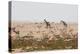 Giraffes, Springbok, Oryx Among Others in Etosha National Park, Namibia, by a Watering Hole-Alex Saberi-Premier Image Canvas