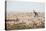 Giraffes, Springbok, Oryx Among Others in Etosha National Park, Namibia, by a Watering Hole-Alex Saberi-Premier Image Canvas