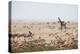 Giraffes, Springbok, Oryx Among Others in Etosha National Park, Namibia, by a Watering Hole-Alex Saberi-Premier Image Canvas