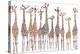 Giraffes-Milovelen-Stretched Canvas