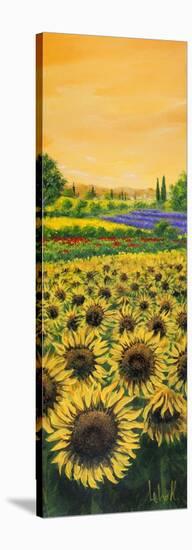 Girasoli e Lavanda-Tebo Marzari-Stretched Canvas