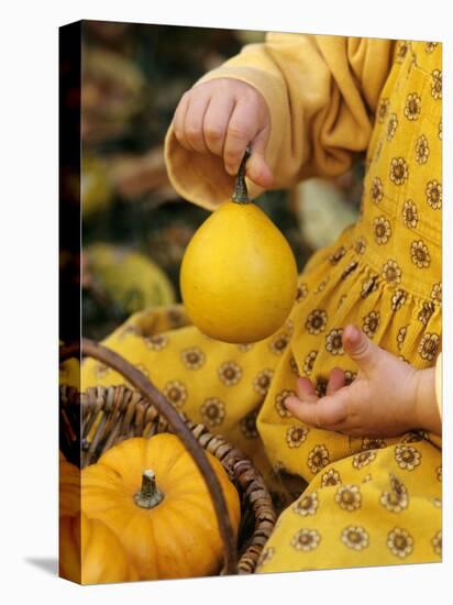 Girl Holding a Baby Pumpkin-Alena Hrbkova-Premier Image Canvas