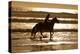 Girl on a Running Horse on the Beach-Nora Hernandez-Premier Image Canvas