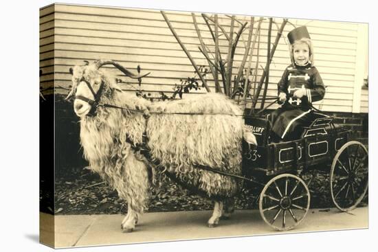 Girl with Ringlets in Goat Cart-null-Stretched Canvas