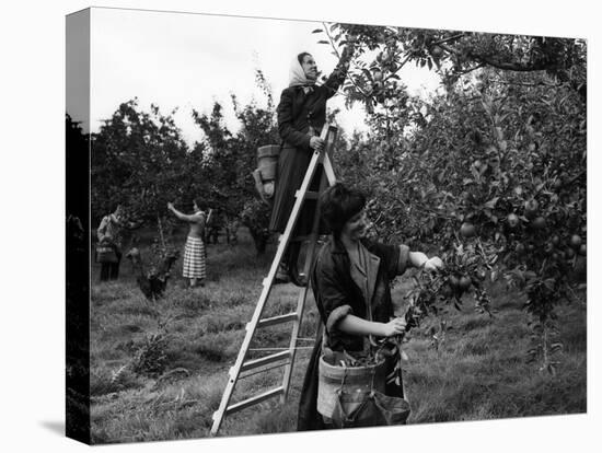 Girls Picking Apples-null-Premier Image Canvas