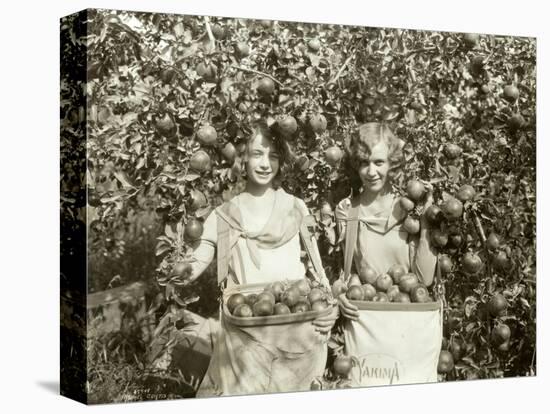 Girls with Apple Harvest, Yakima, 1928-Asahel Curtis-Premier Image Canvas