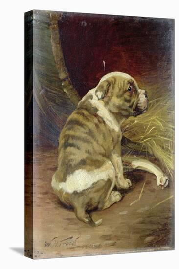 Give a Dog a Bone, 1888-William Henry Hamilton Trood-Premier Image Canvas