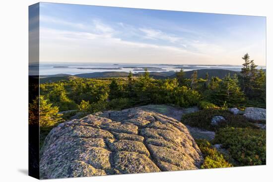 Glacial Striations , Maine's Acadia National Park-Jerry and Marcy Monkman-Premier Image Canvas