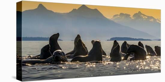 Glacier Bay National Park, Alaska-Art Wolfe Wolfe-Premier Image Canvas