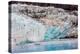Glacier Bay National Park, viewed from Princess Star Cruise Ship, Alaska, USA, North America-Laura Grier-Premier Image Canvas