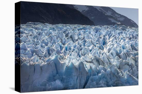 Glacier Grey. Torres Del Paine NP. Chile. UNESCO Biosphere-Tom Norring-Premier Image Canvas