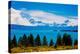 Glacier Lake, South Island, New Zealand, Pacific-Laura Grier-Premier Image Canvas