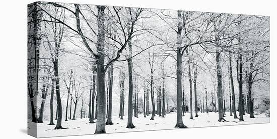 Glade In Winter-Joseph Eta-Stretched Canvas