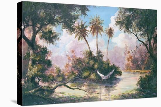 Glades Hammock-Art Fronckowiak-Stretched Canvas