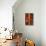 Gladiola-John Seba-Stretched Canvas displayed on a wall