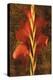 Gladiola-John Seba-Stretched Canvas