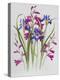 Gladiolus and Iris Sibirica-Sally Crosthwaite-Premier Image Canvas