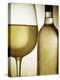 Glass and Bottle of White Wine-Steve Lupton-Premier Image Canvas