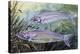 Glass Catfish (Kryptopterus Bicirrhis), Siluridae, Drawing-null-Premier Image Canvas