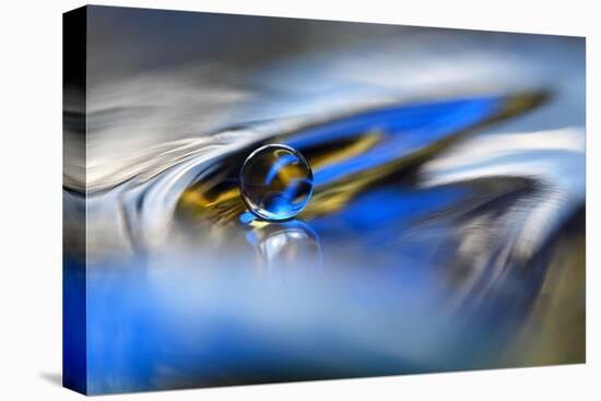 Glass landscape-Heidi Westum-Premier Image Canvas