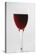 Glass of Red Wine-Lawrence Lawry-Premier Image Canvas