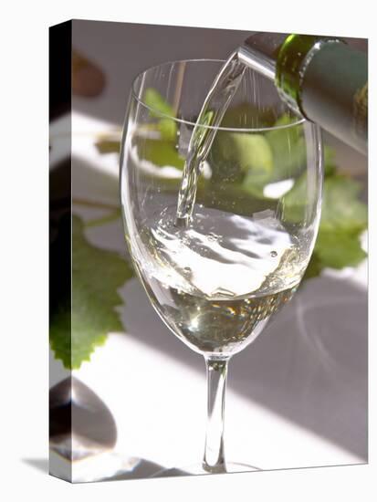 Glass of White Wine, Chateau Belgrave, Haut-Medoc, Grand Crus Classee, France-Per Karlsson-Premier Image Canvas