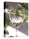 Glass of White Wine, Chateau Belgrave, Haut-Medoc, Grand Crus Classee, France-Per Karlsson-Premier Image Canvas