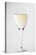 Glass of White Wine-Lawrence Lawry-Premier Image Canvas