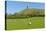 Glastonbury Tor Hill Somerset England-acceleratorhams-Premier Image Canvas