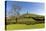 Glastonbury Tor, Somerset, England-acceleratorhams-Premier Image Canvas