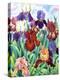 Glemsford Irises-Christopher Ryland-Premier Image Canvas