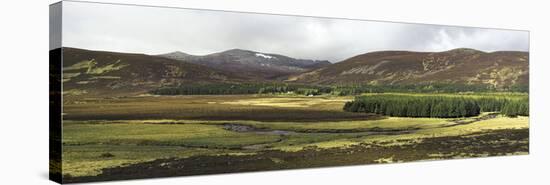 Glen Muick, Scotland, UK-Duncan Shaw-Premier Image Canvas