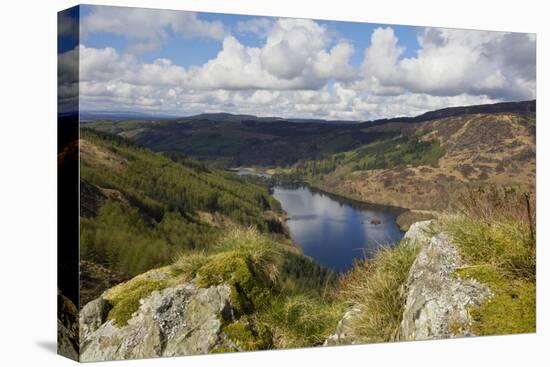 Glen Trool, Seen from White Bennan, Dumfries and Galloway, Scotland, United Kingdom, Europe-Gary Cook-Premier Image Canvas