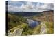 Glen Trool, Seen from White Bennan, Dumfries and Galloway, Scotland, United Kingdom, Europe-Gary Cook-Premier Image Canvas