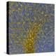 Glial Cells, Confocal Light Micrograph-Thomas Deerinck-Premier Image Canvas