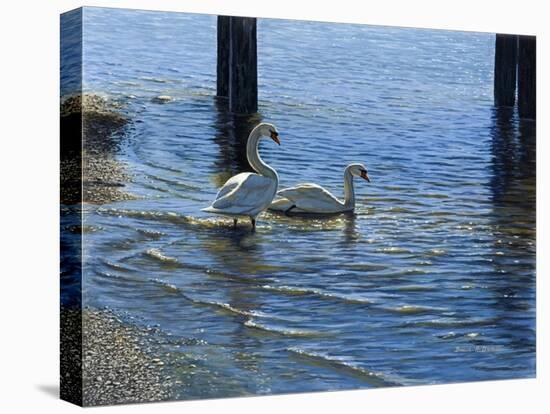 Glistening Water Swans-Bruce Dumas-Premier Image Canvas