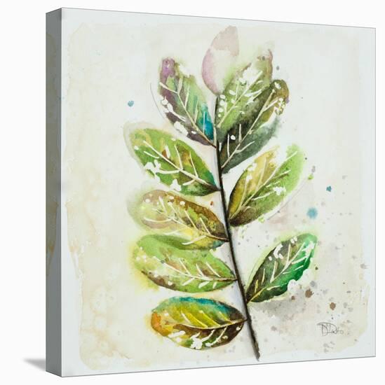 Global Leaves III-Patricia Pinto-Stretched Canvas