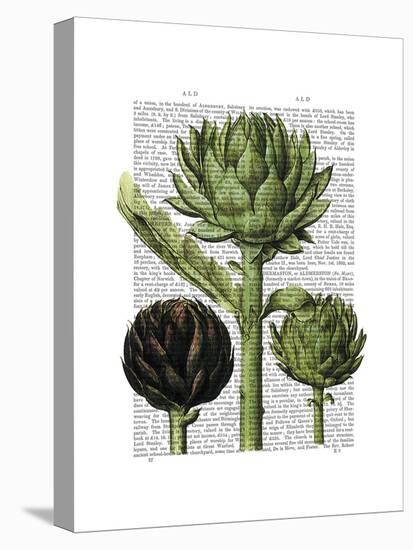 Globe Artichoke Print 1-Fab Funky-Stretched Canvas